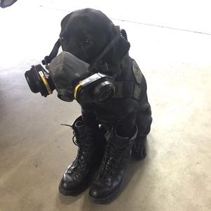 Meet your Posher, Chris